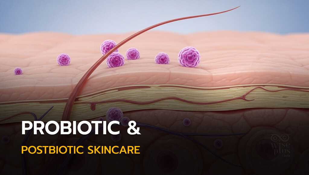 Probiotic & Postbiotic Skincare