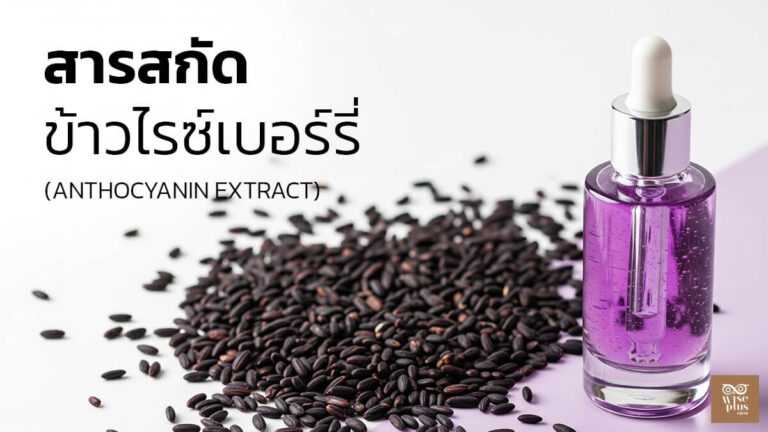 สารสกัดข้าวไรซ์เบอร์รี่เพื่อผิวแข็งแรง