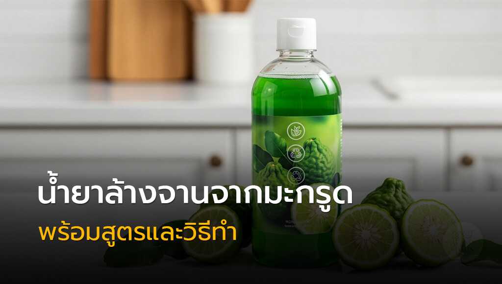 น้ำยาล้างจานจากมะกรูด สูตรธรรมชาติ กลิ่นหอมสดชื่น ช่วยขจัดคราบไขมัน