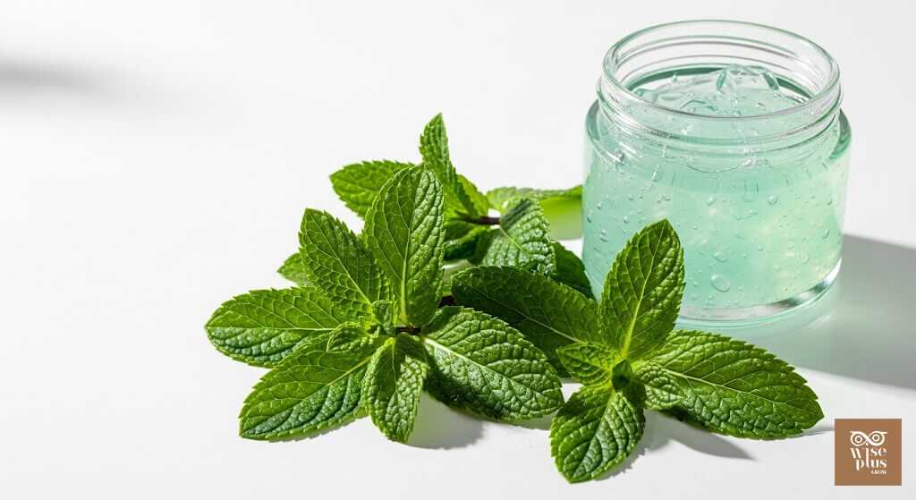 สะระแหน่สกินแคร์เย็นสดชื่น