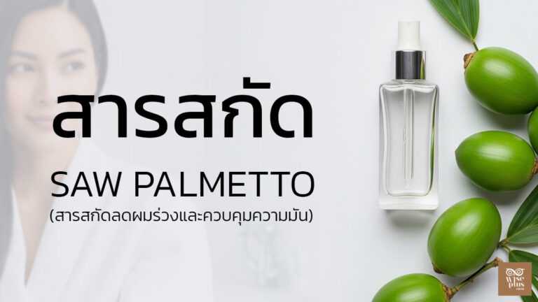 สารสกัด Saw Palmetto ลดผมร่วงและควบคุมความมัน