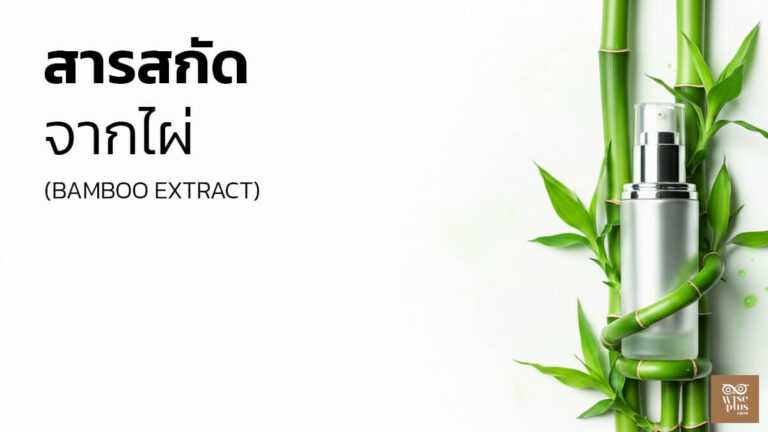 สารสกัดไผ่เพื่อผิวชุ่มชื้นและเกราะผิวแข็งแรง