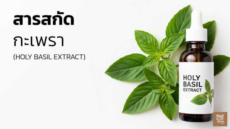 สารสกัดกะเพราในสกินแคร์เพื่อผิวสมดุล