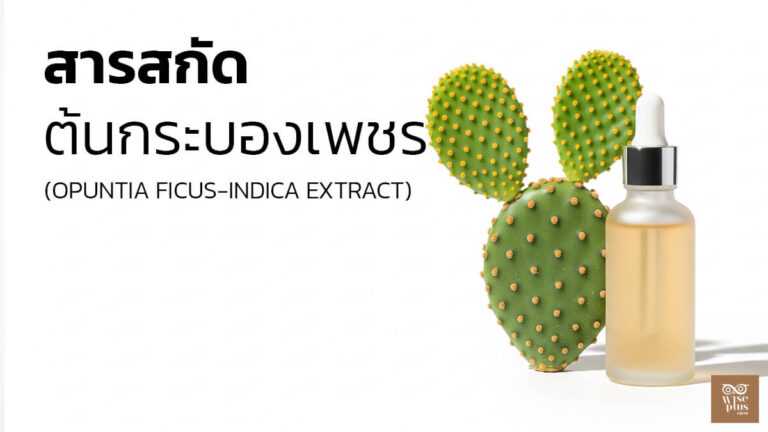 สารสกัดต้นกระบองเพชร Opuntia Ficus-Indica เติมความชุ่มชื้นและปลอบประโลมผิว