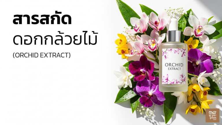 สารสกัดดอกกล้วยไม้เพื่อผิวชุ่มชื้นและโทนสีสม่ำเสมอ