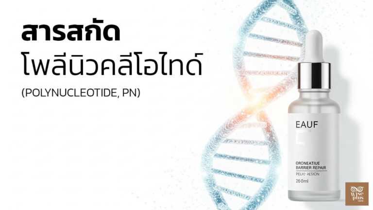 โพลีนิวคลีโอไทด์ PDRN ฟื้นฟูผิวอย่างอ่อนโยน