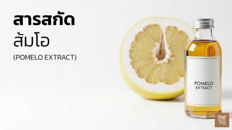 ขวดสกินแคร์จากสารสกัดส้มโอพร้อมผลส้มโอตกแต่ง