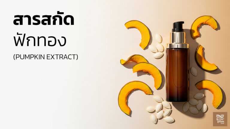 สารสกัดฟักทองในสกินแคร์ฟื้นบาเรียร์ผิว