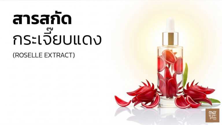 สารสกัดกระเจี๊ยบแดงเพื่อผิวกระจ่างใส