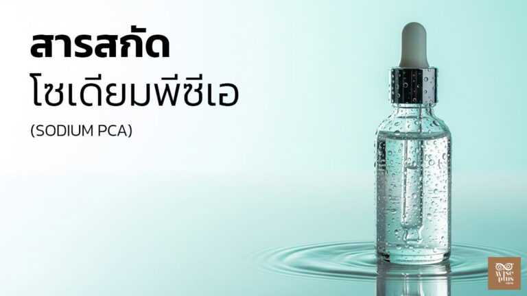 โซเดียมพีซีเอเพิ่มความชุ่มชื้นล้ำลึกให้ผิวอย่างเป็นธรรมชาติ