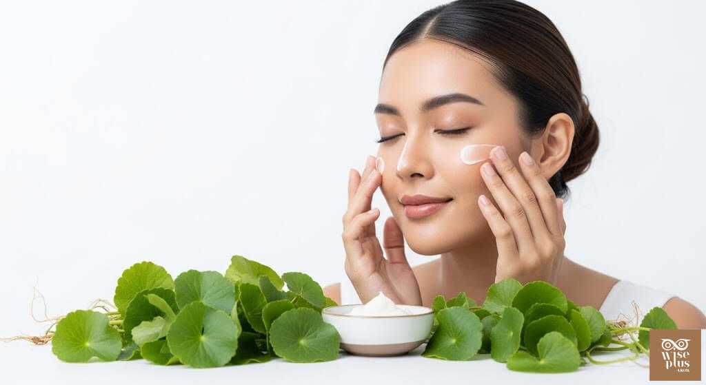 ครีมปลอบประโลมผิวออร์แกนิค Soothing Cream Centella OEM ขายดี Shopee