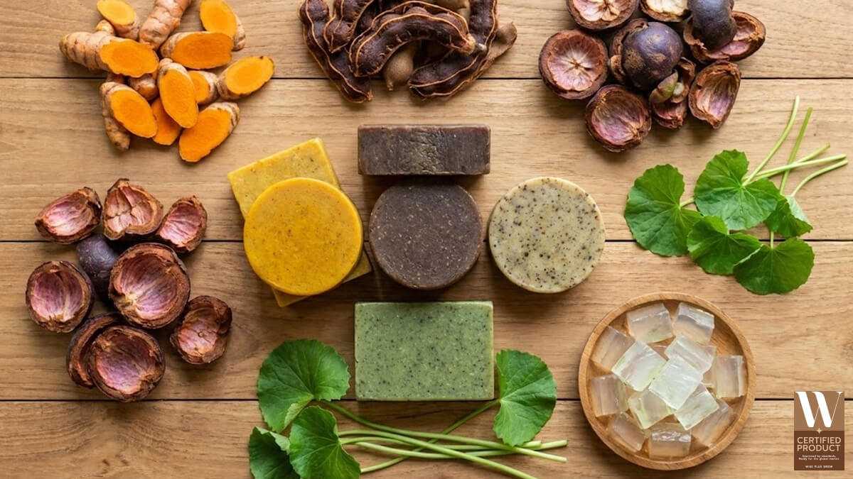 ส่วนผสมสมุนไพรไทยยอดนิยมสำหรับทำสบู่ขมิ้นมะขามมังคุดใบบัวบกว่านหางจระเข้