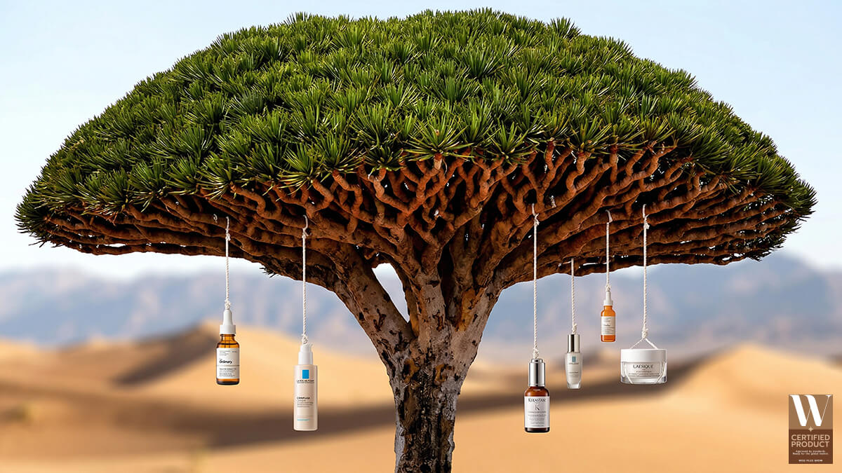 สารสกัดต้นเลือดมังกรในสกินแคร์ คุณสมบัติและการใช้งานในสูตรผลิตภัณฑ์