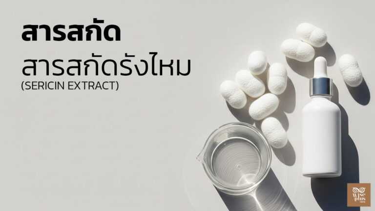 สารสกัดรังไหมเซริซินเพื่อผิวชุ่มชื้นแข็งแรง
