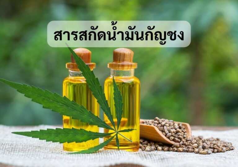 สารสกัดน้ำมันกัญชง