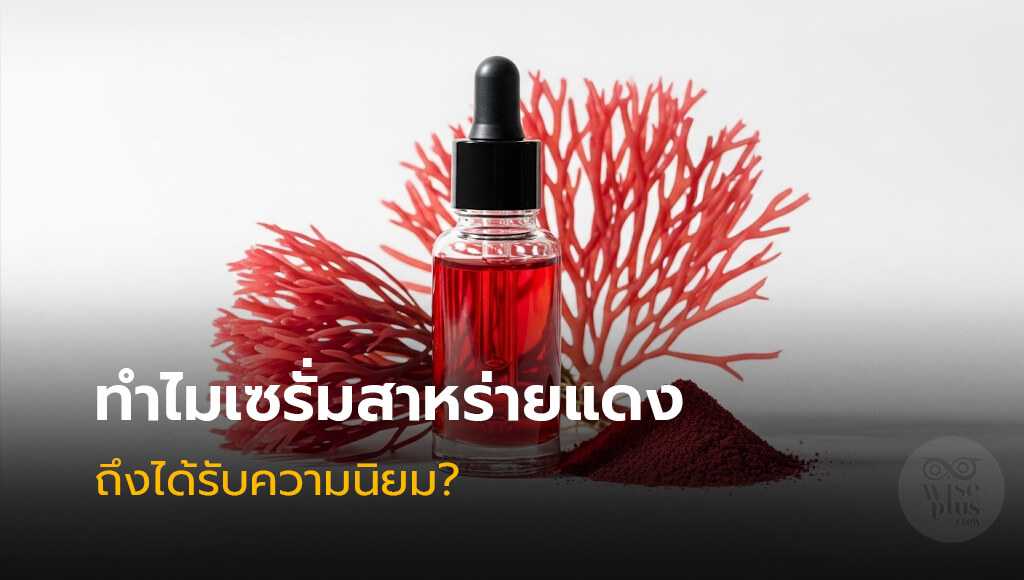 เซรั่มสาหร่ายแดงที่ได้รับความนิยมในสกินแคร์