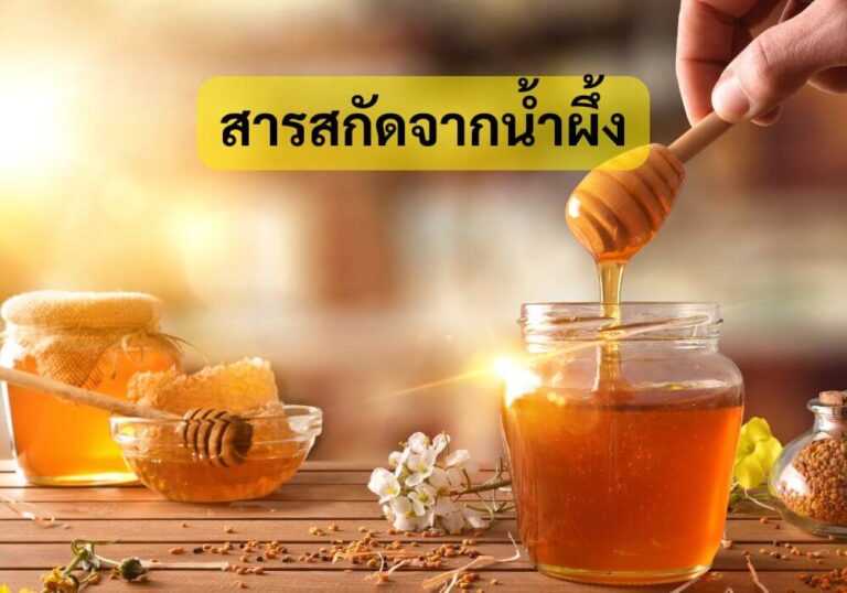 สารสกัดจากน้ำผึ้ง