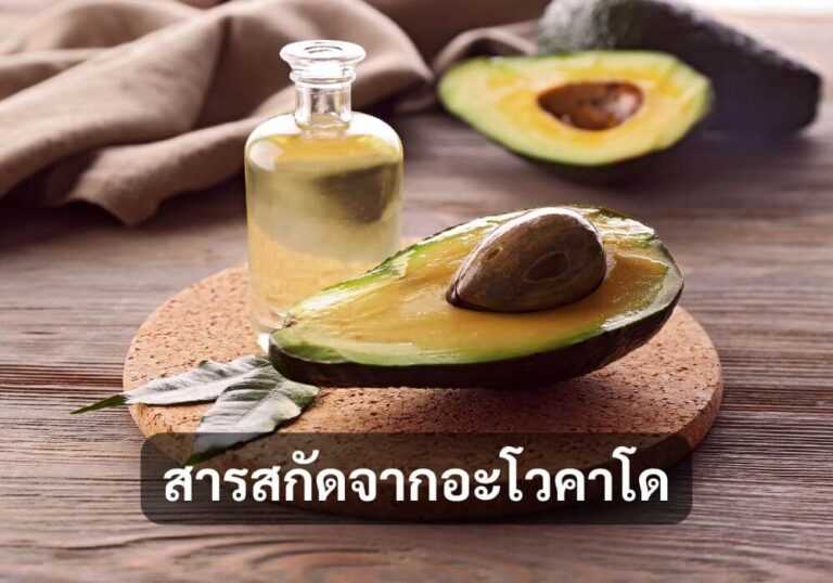 สารสกัดจากอะโวคาโด