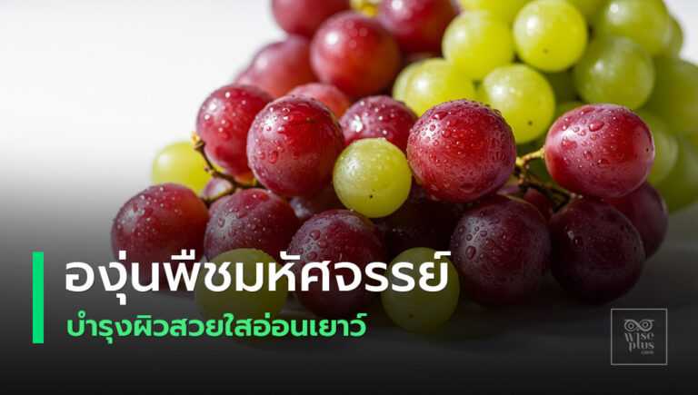 องุ่นบำรุงผิวให้สวยใสอ่อนเยาว์