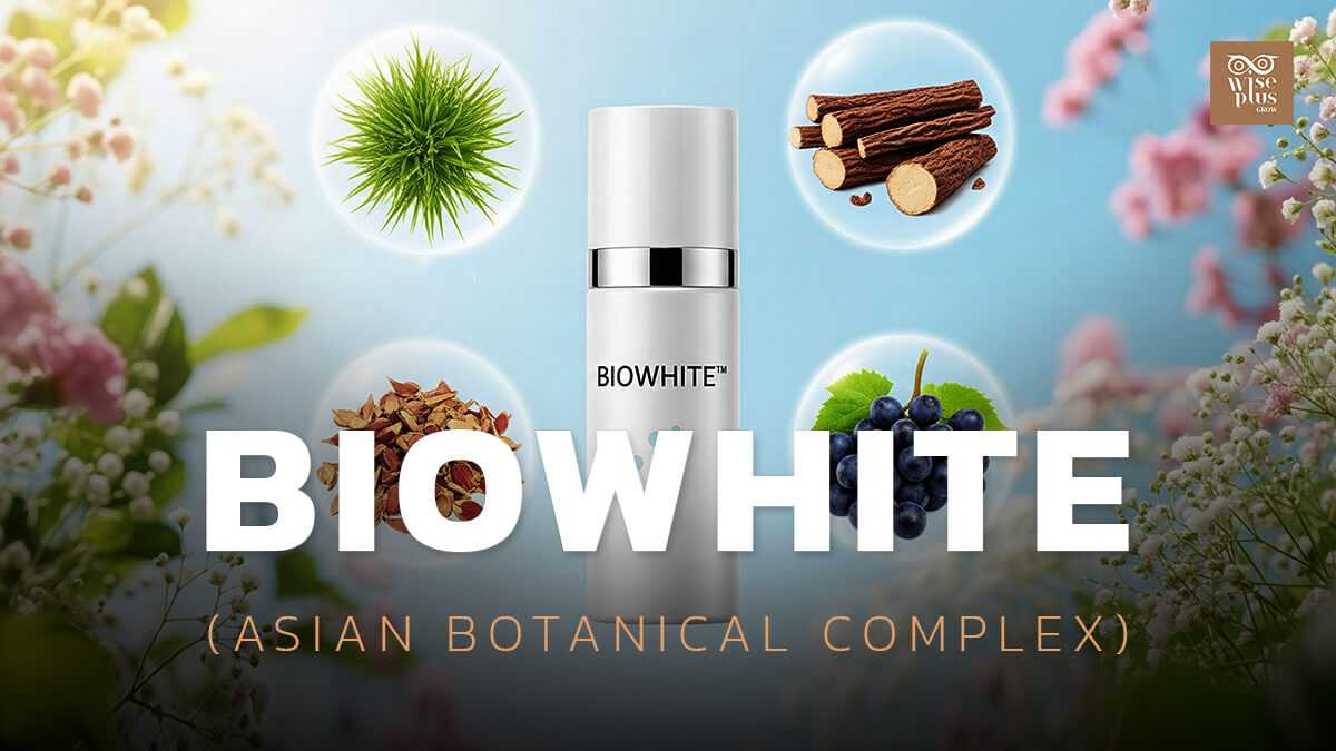 สารสกัดพืชจากเอเชียใน BIOWHITE เพื่อผิวกระจ่างใสอย่างอ่อนโยน