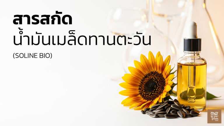 น้ำมันเมล็ดทานตะวัน SOLINE BIO เพื่อเกราะผิวแข็งแรงและชุ่มชื้นยาวนาน