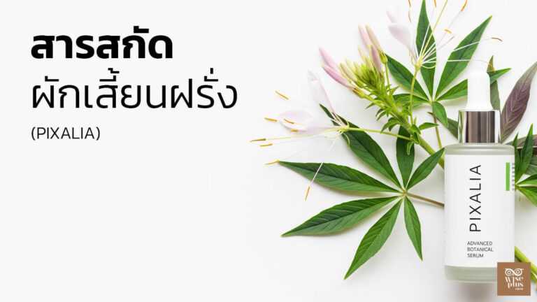 เซรั่ม PIXALIA สารสกัดผักเสี้ยนฝรั่งเพื่อผิวมันแพ้ง่าย