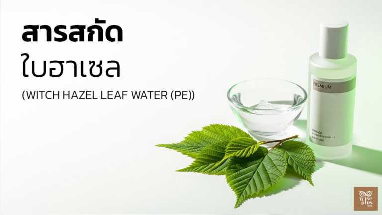 โทนเนอร์ Witch Hazel Leaf Water ปลอบประโลมผิวมันแพ้ง่าย