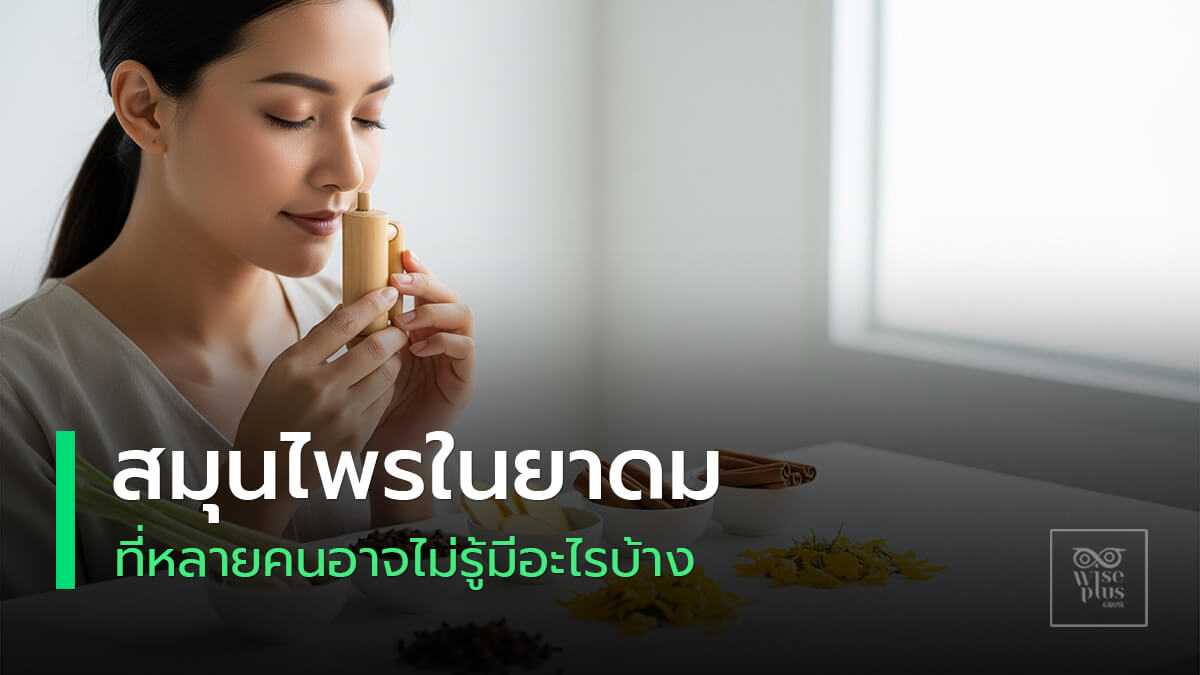 ยาดมสมุนไพรไทยยอดนิยมและส่วนผสมจากธรรมชาติ