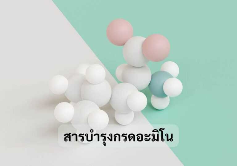 สารบำรุงกรดอะมิโน