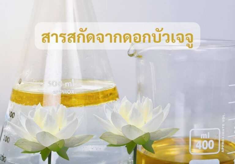 สารสกัดจากดอกบัวเจจู