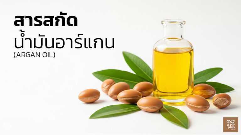 น้ำมันอาร์แกน สารสกัดบำรุงผิวและเส้นผมคุณภาพสูง