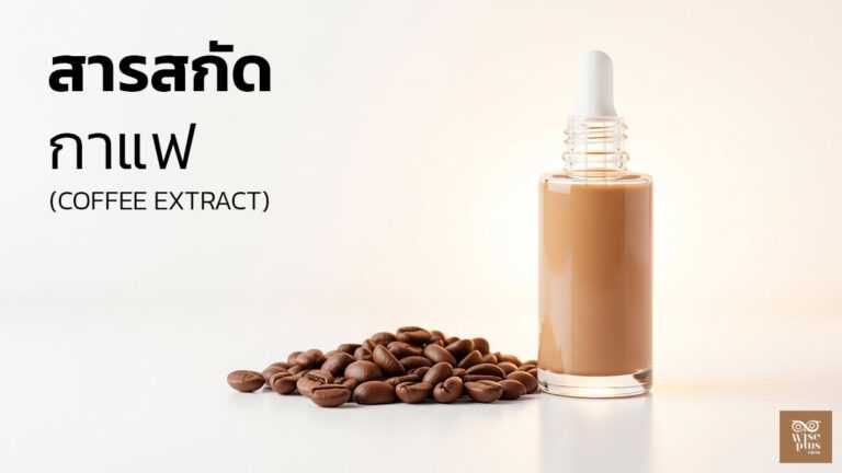 สารสกัดกาแฟเพื่อผิวกระชับกระจ่างใส