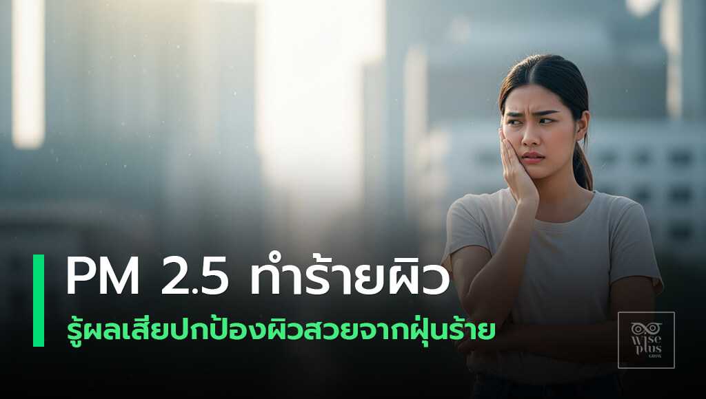ปกป้องผิวจากฝุ่น PM2.5 และมลภาวะ