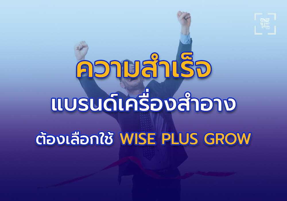 ความสำเร็จของแบรนด์ที่เลือกใช้บริการ Wise Plus Grow