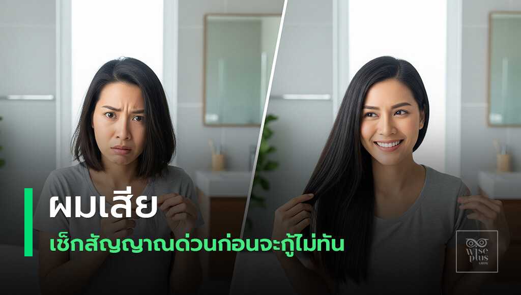 คู่มือกู้ผมเสียแบบเร่งด่วน