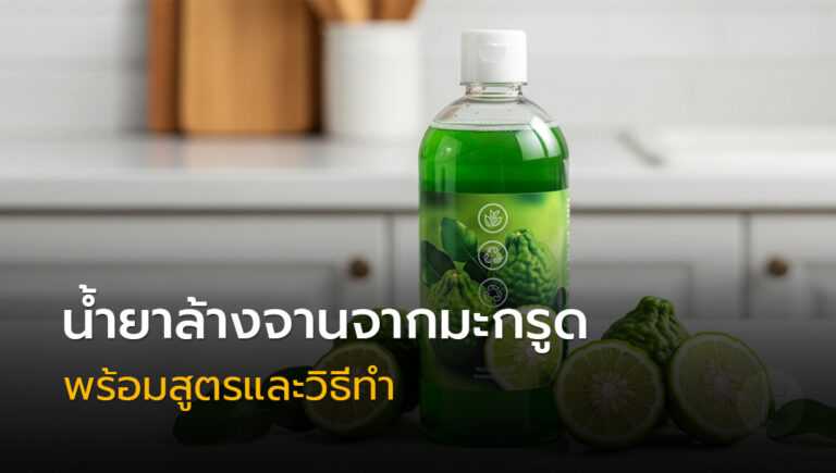 น้ำยาล้างจานจากมะกรูด สูตรธรรมชาติ กลิ่นหอมสดชื่น ช่วยขจัดคราบไขมัน