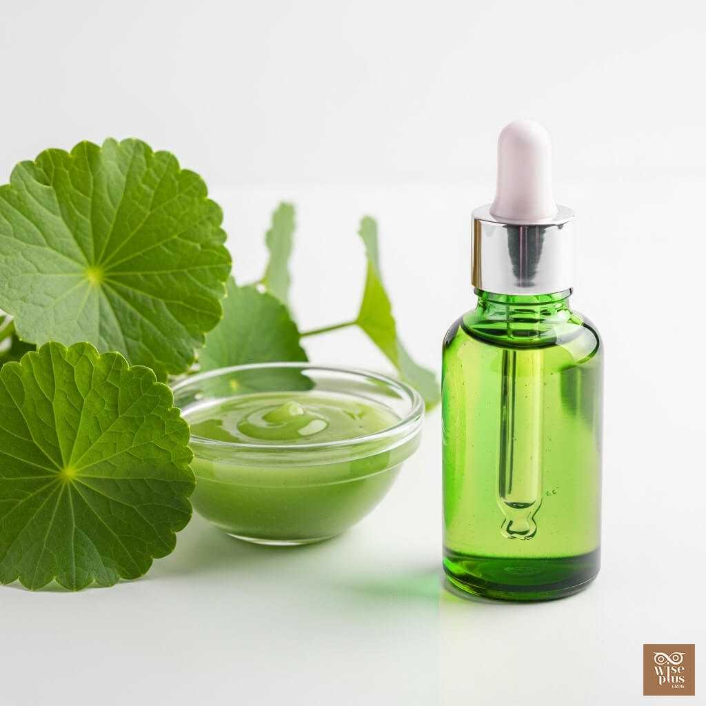 สารสกัดเซนเทลล่าสำหรับฟื้นฟูผิวแตกลายในผลิตภัณฑ์สมุนไพร OEM