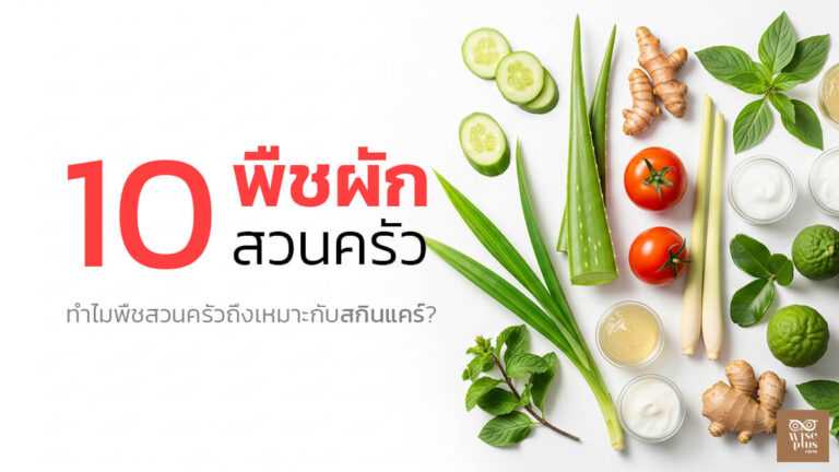 พืชสวนครัวทำสกินแคร์ได้จริง