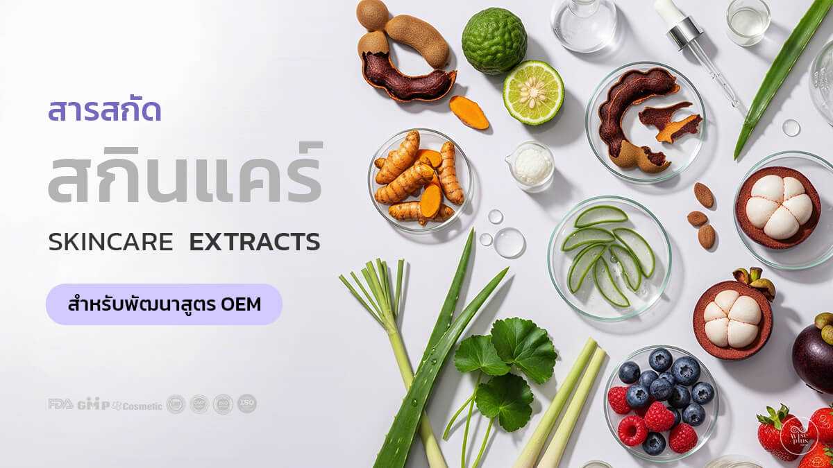 สารสกัดสกินแคร์สำหรับพัฒนาสูตร OEM ด้วยสมุนไพรและผลไม้ไทย