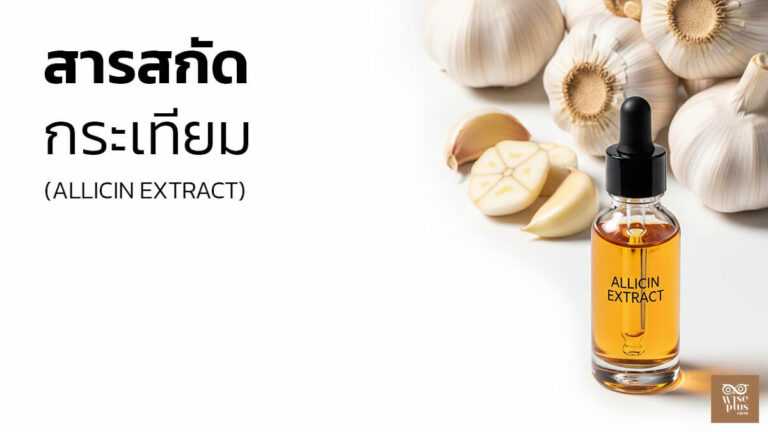 สารสกัดกระเทียม Allicin Extract