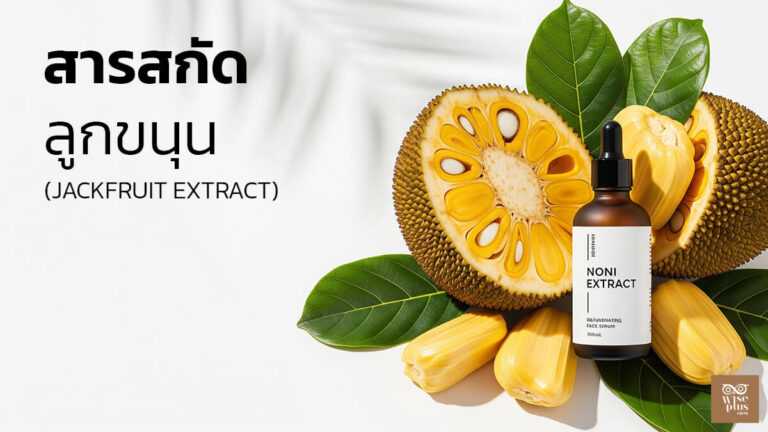 สารสกัดลูกขนุนเพื่อผิวชุ่มชื้นและโทนสีสม่ำเสมอ