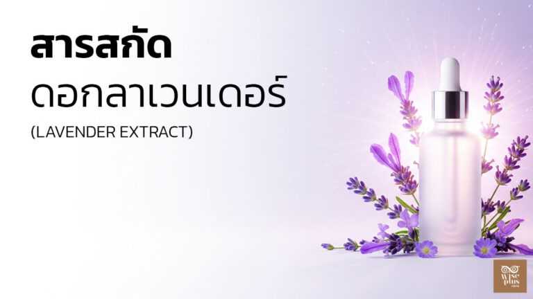 สารสกัดลาเวนเดอร์เพื่อผิวสมดุลและผ่อนคลาย