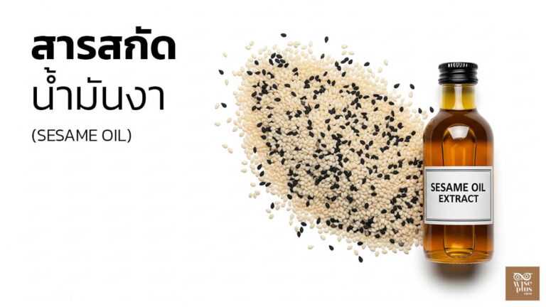 น้ำมันงาสำหรับสกินแคร์ช่วยเติมความชุ่มชื้นและฟื้นบาเรียร์ผิว