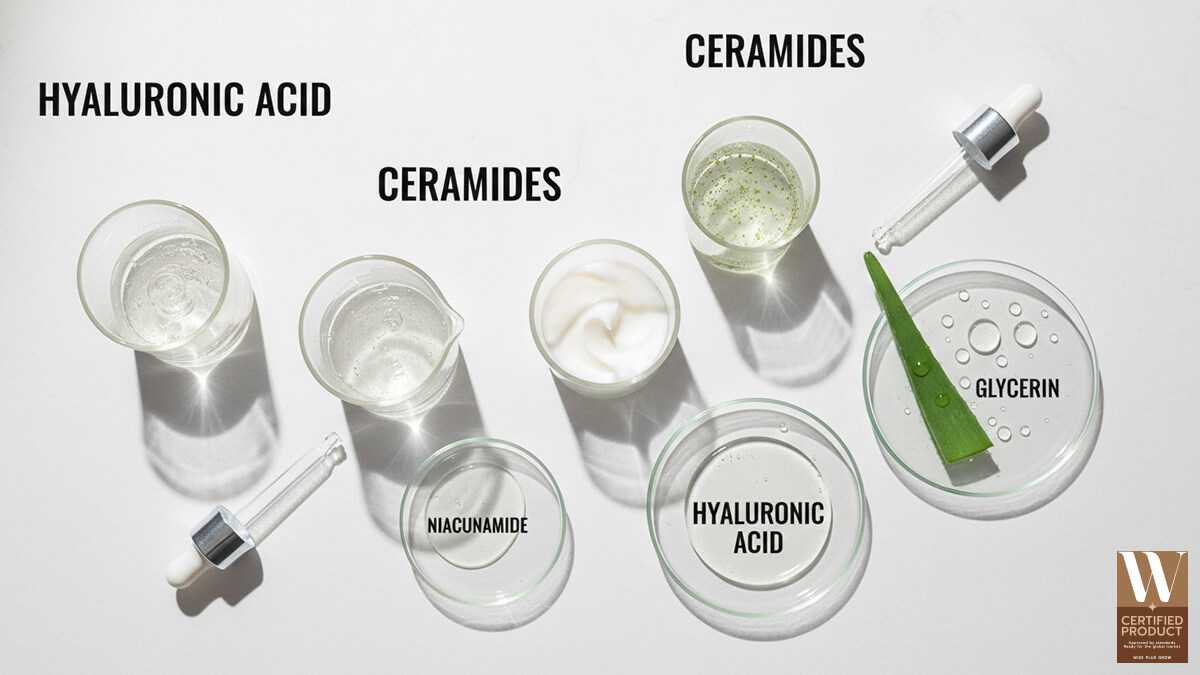 ส่วนผสมมอยส์เจอไรเซอร์สำคัญที่ควรรู้ก่อนเลือกใช้