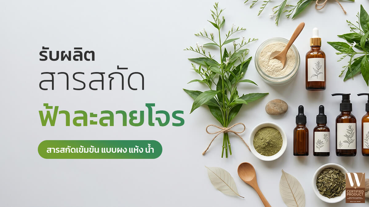 โรงงานผลิตสารสกัดฟ้าทะลายโจรสำหรับอุตสาหกรรมและผลิตภัณฑ์สุขภาพ