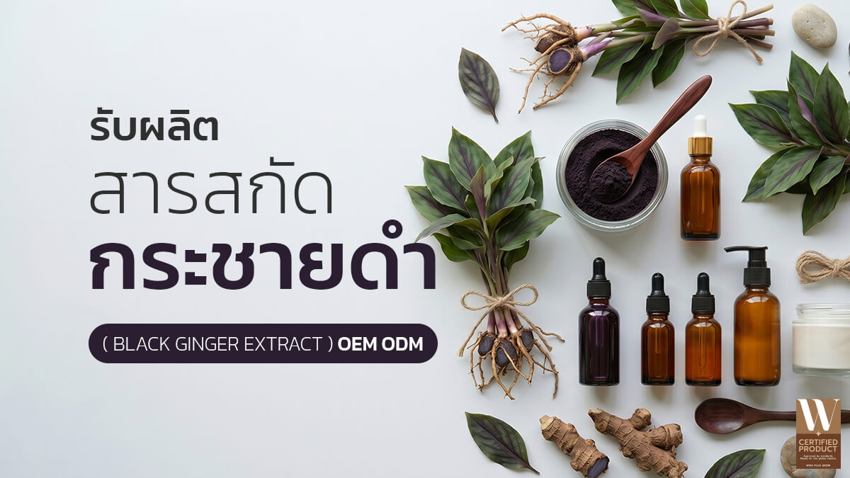 โรงงานผลิตสารสกัดกระชายดำสำหรับพัฒนาสูตรสกินแคร์ OEM