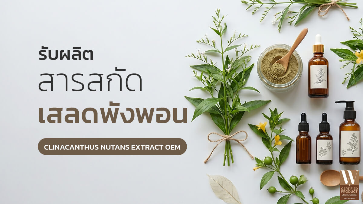 โรงงานผลิตสารสกัดเสลดพังพอน OEM สำหรับพัฒนาสูตรสกินแคร์