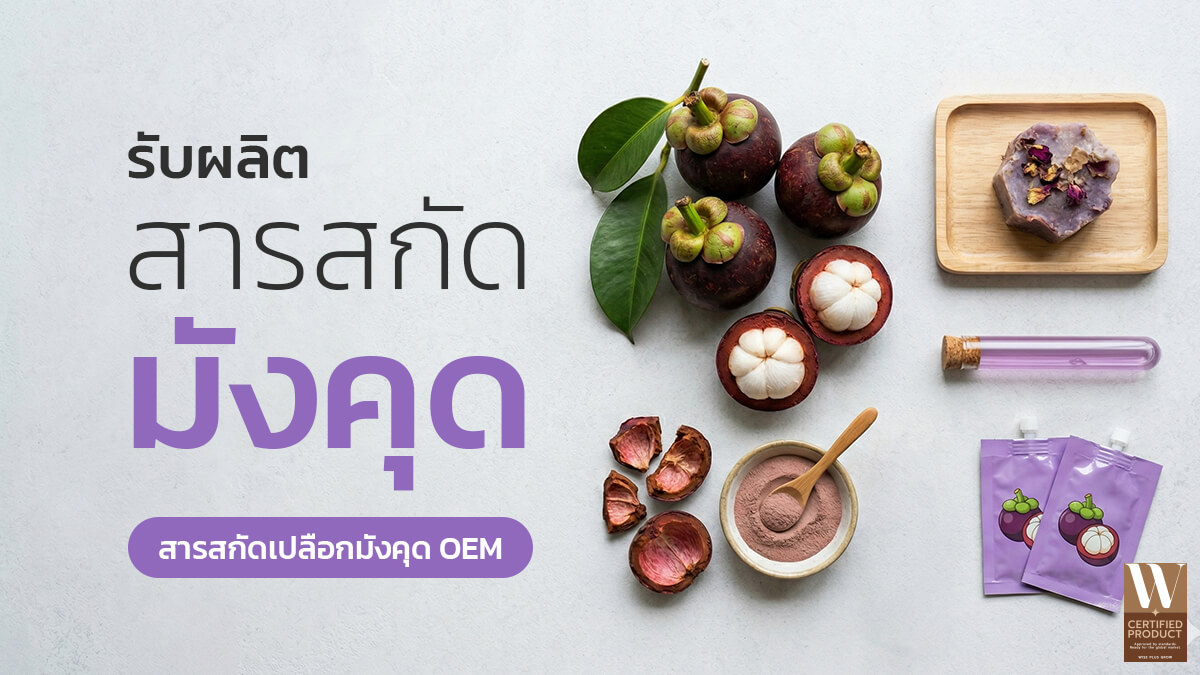 โรงงานรับผลิตสารสกัดมังคุดและเปลือกมังคุดสำหรับอุตสาหกรรมสกินแคร์