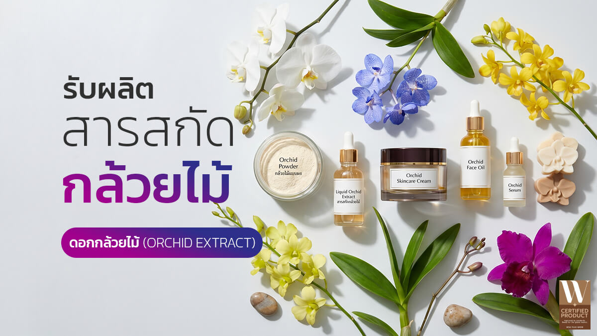 โรงงานผลิตสารสกัดกล้วยไม้สำหรับอุตสาหกรรมสกินแคร์และความงาม