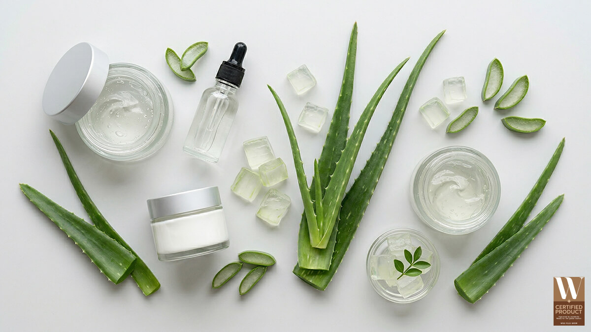 บริการรับผลิตสารสกัดว่านหางจระเข้ออร์แกนิกจากธรรมชาติ